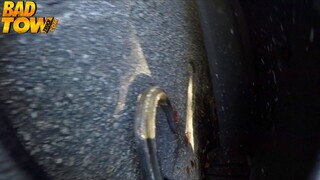 Смотри Car sex with big natural tits and big ass на GEEZ.TUBE - лучшие видео
