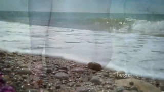 Sexy Dutch Cindy - Beach Nude & Wild - бесплатное порно на GEEZ.TUBE