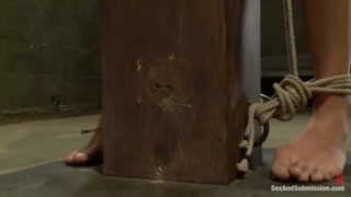 Rilynn Rae Virtual Fetish with Xander Corvus - бесплатное порно на GEEZ.TUBE