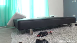 Veronica’s Wild Audition - Stockings, Brunette & Tattoo - бесплатное порно на GEEZ.TUBE
