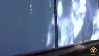 Natural Tits Katrina Jade Rough Sex & Deepthroat - бесплатное порно на GEEZ.TUBE